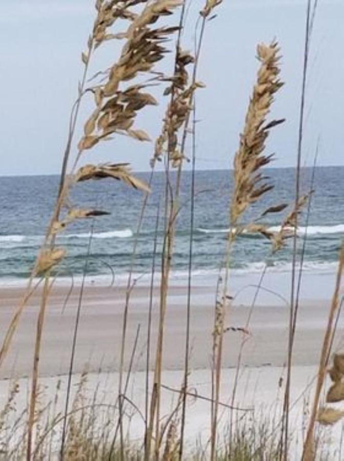 Island Life St. Augustine Beach Exterior foto